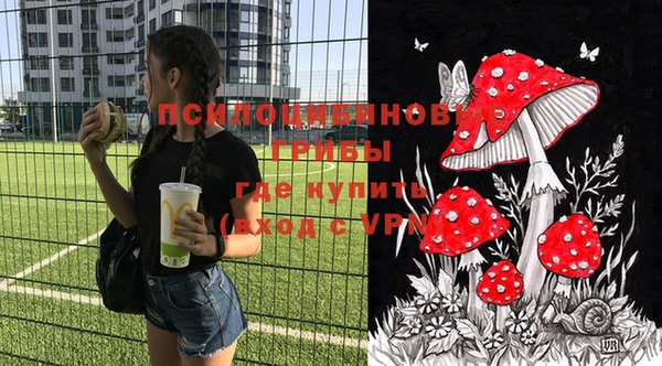 2c-b Алзамай