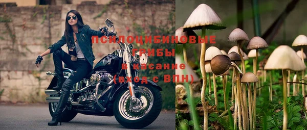 2c-b Алзамай