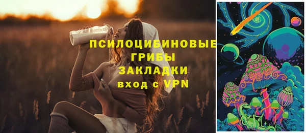 синтетический гашиш Алексин