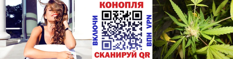 Бошки Шишки план  Купить  Урюпинск 